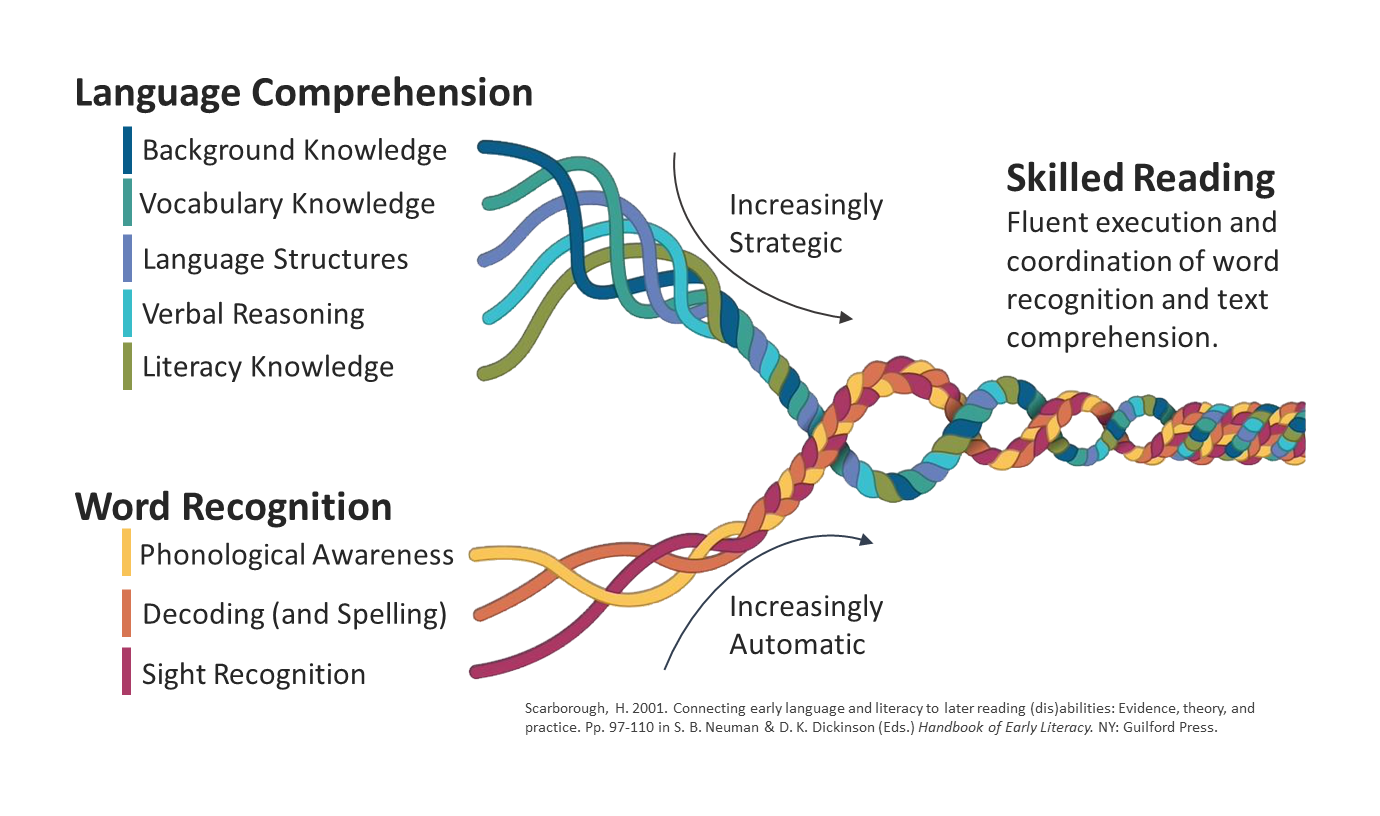 Scarborough's Reading Rope weaves word recognition and language comprehension